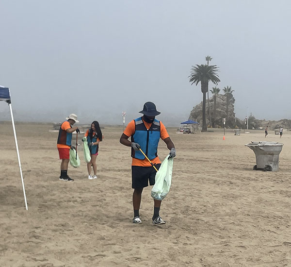Beach Cleanup - Mor Distribution